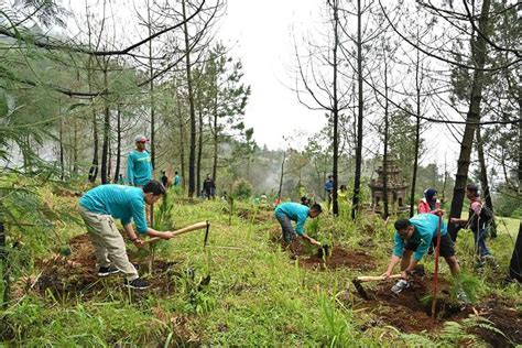 Pelestarian dan Konservasi Lingkungan di Indonesia