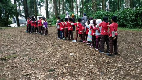 Pengalaman Seru di Indonesia: Petualangan Saya di Taman Nasional