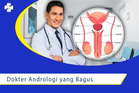 Pengobatan dan Penanganan oleh Dokter Andrologi Tangerang