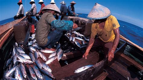 Peran, Hak, dan Kewajiban Nelayan di Indonesia dalam Menyongsong Pendidikan