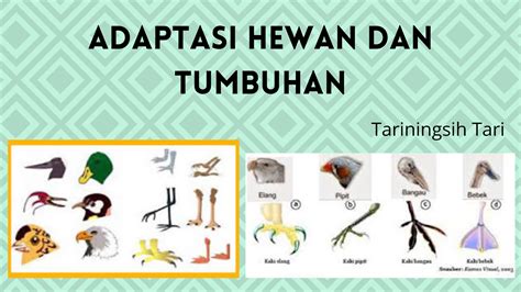 Pengetahuan dan Keterampilan dalam Menjaga Kebersihan Lingkungan Sekolah