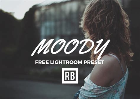 Preset Lightroom Moody