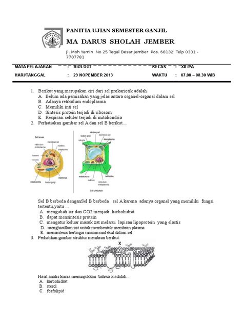 Soal Biologi Kelas 11 Semester 1 Indonesia