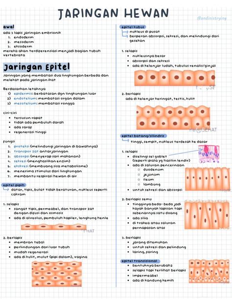 Soal Jaringan Hewan Kelas 11 Indonesia