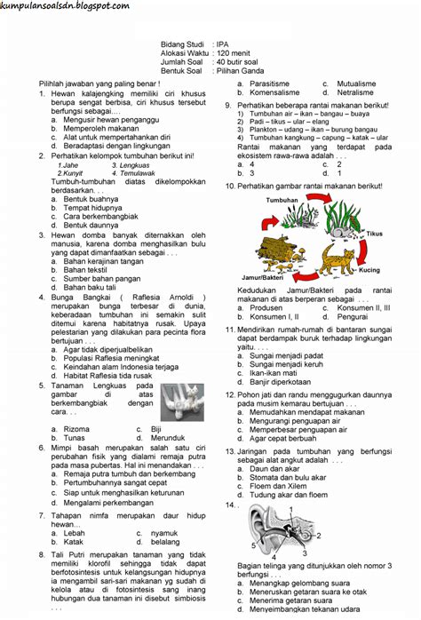 Menakar Kesiapan Siswa SD dalam Menghadapi Try Out UN IPA