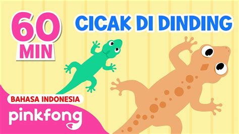 Suara cicak