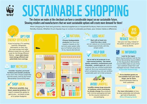 Sustainable Shopping Summary