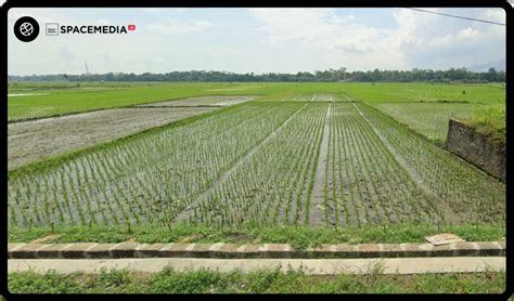 Tanah Satu Hektar Berapa Meter