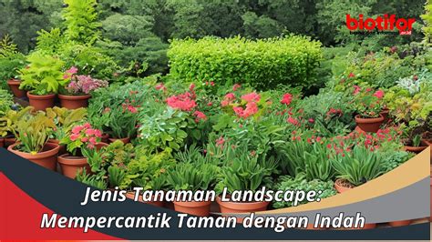 Tanaman Landscape