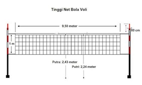 Tinggi Net Bola Voli untuk Putra: Persyaratan dan Manfaatnya