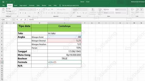 5 Tipe Data yang Harus Diketahui dalam Microsoft Excel