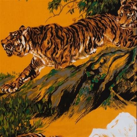 Tora tiger