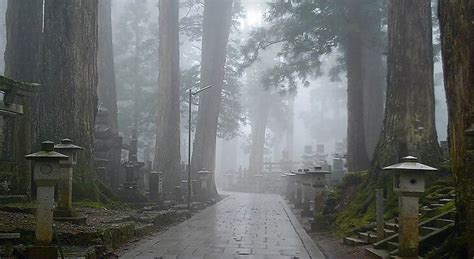 Tradisi dan Mitos Seputar Musim Hujan di Jepang