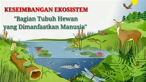 Tumbuhan Menjaga Keseimbangan Ekosistem Indonesia
