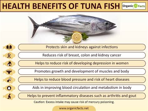 Tuna Fish Health Benefits