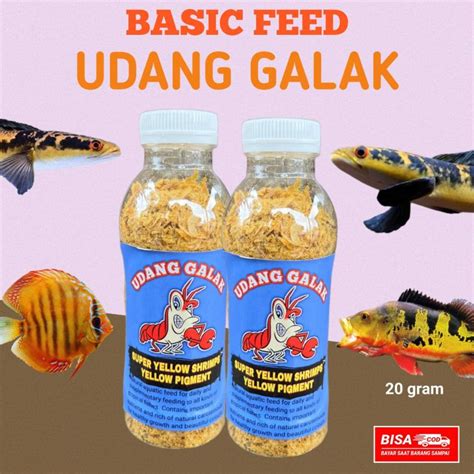 Udang Galak