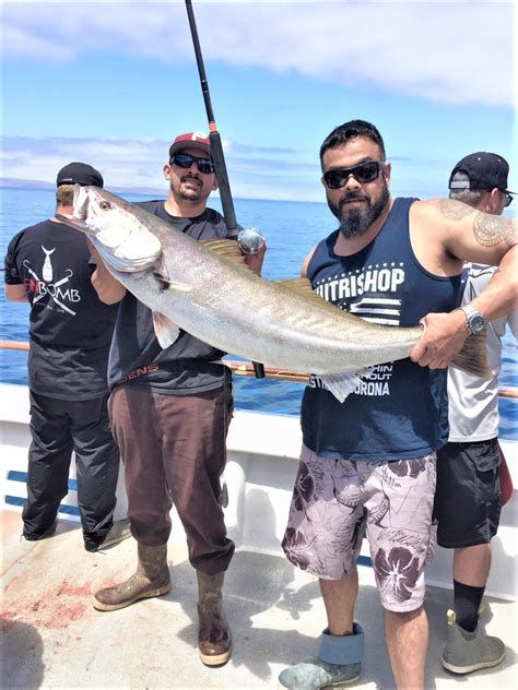 Ventura Sport Fishing