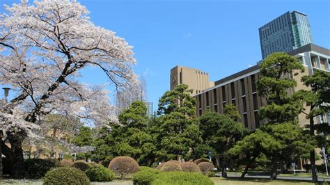 Vibrant Campus Life at Japanese universities