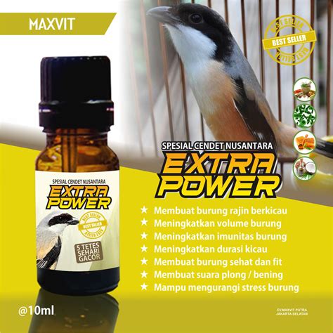 Vitamin Burung Cendet Indonesia