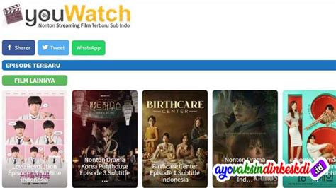 YouWatch Pro: A Revolutionary Way to Watch Your Favorite Shows and Movies in Indonesia