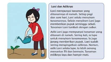 Apa yang Dilakukan Adik Lani untuk Merawat Tanamannya?