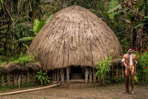 Atap Rumah Adat Papua