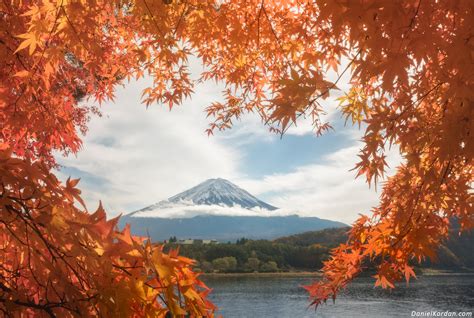 Daun musim gugur di Jepang