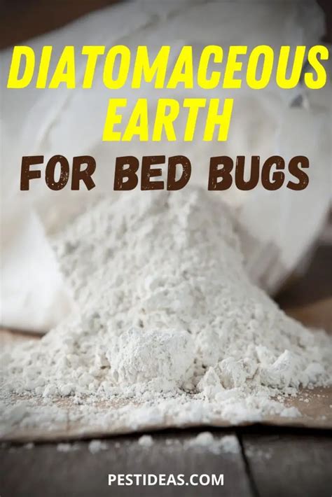 Bed bugs diatomaceous earth