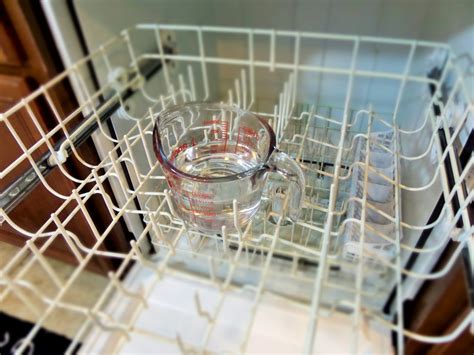 black mold in dishwasher