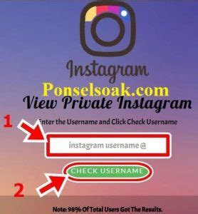 Buka Akun Instagram yang Di-Privasi