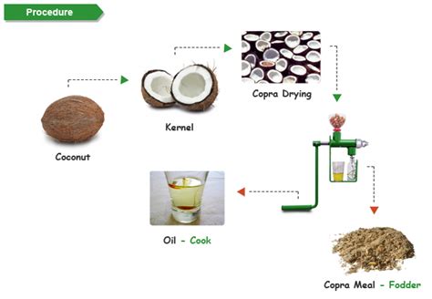 coconut oil processing methods