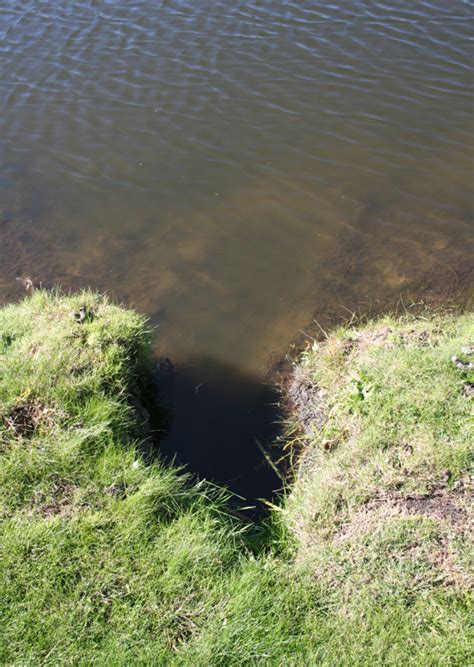 damage on pond surrounding