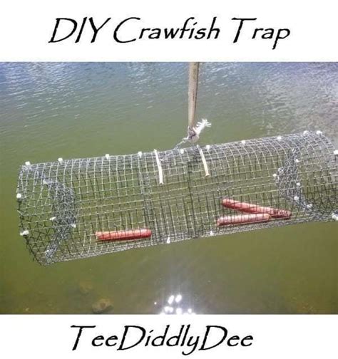 Fish Trap Tips