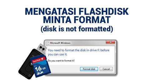 flashdisk minta format