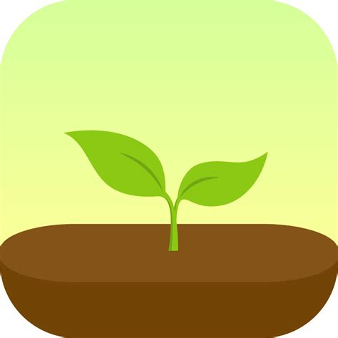 Forest App Icon