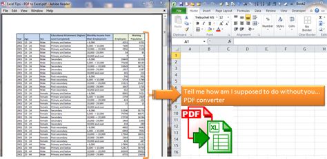 Format PDF Excel