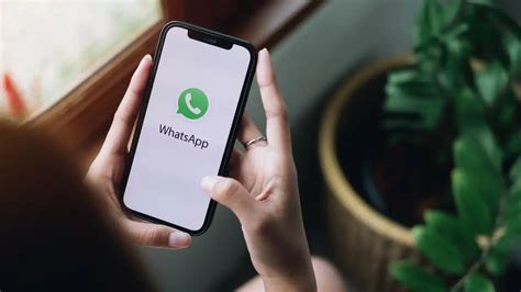 Kelebihan Pelacak Nomor WhatsApp