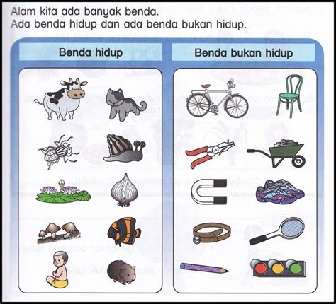 mengapa penting mengetahui nama benda mati