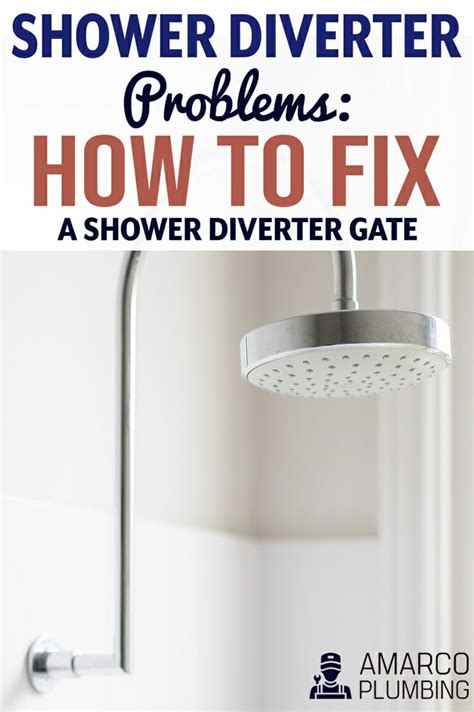When to Call a Professional Plumber for Assistance with the Shower Diverter Gate