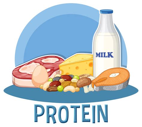 protein