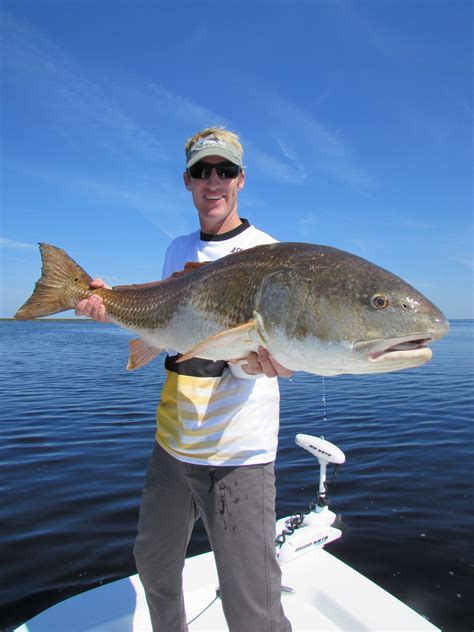 Red Drum Fishing Tips and Tricks
