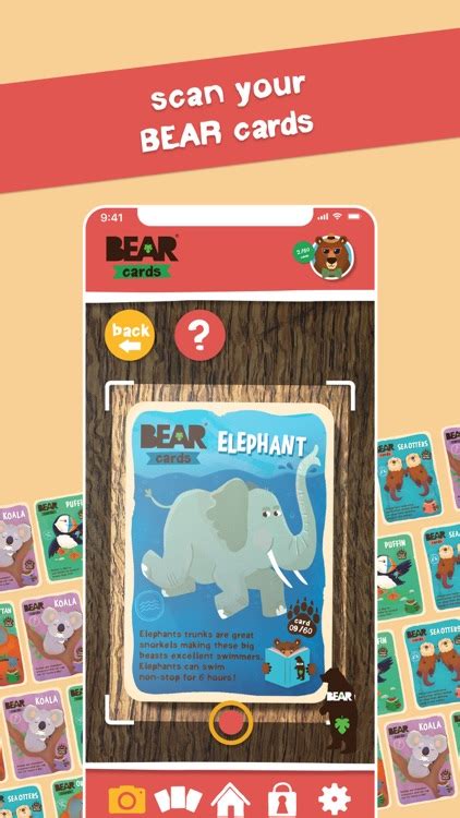 Security of BearCards App