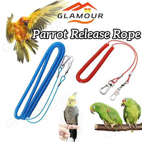 SG Parrot Kaki dan Kuku