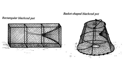 size and capacity of fish trap