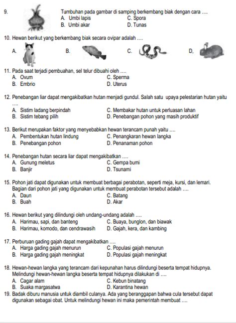 soal dan kunci jawaban IPA kelas 6 semester 1