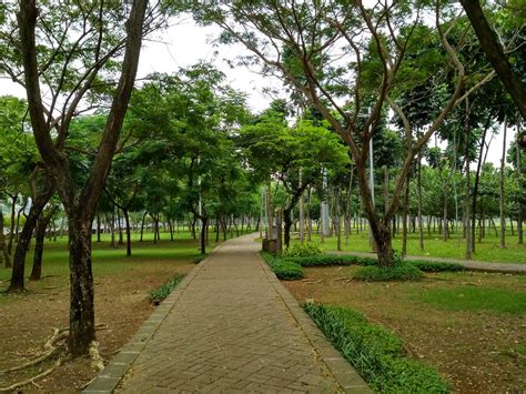 Taman Hutan