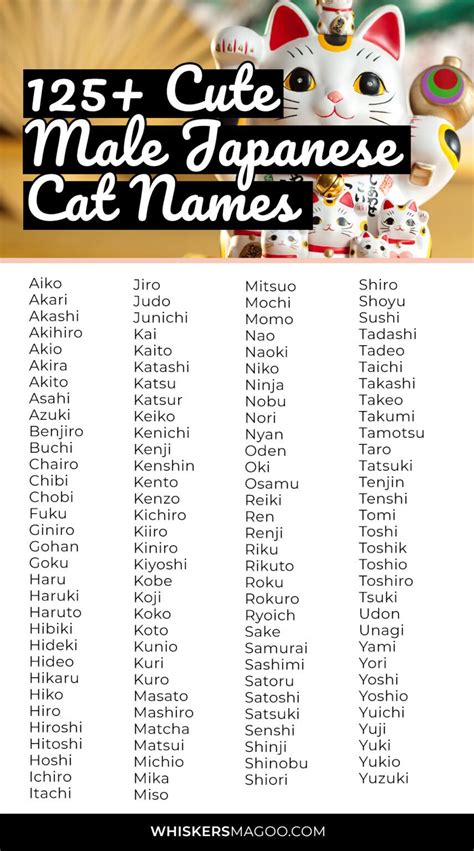 Nama Kucing yang Lucu di Jepang