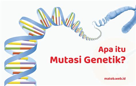 Mutasi Genetik