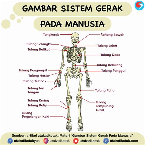 Sistem Gerak dan Daya