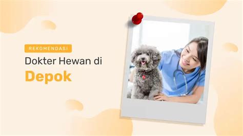 dokter hewan depok